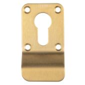 ECP1000SPVD - Carlisle Brass Eurospec Cylinder Pull &lpar;Euro Profile&rpar; Satin Brass PVD