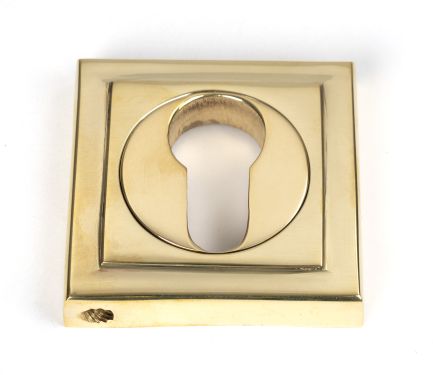 Click Here To Enlarge This Photo Of 50595 From the Anvil Polished Brass Round Euro Escutcheon &lpar;Square&rpar;