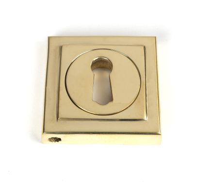 Click Here To Enlarge This Photo Of 50749 From the Anvil Polished Brass Round Escutcheon &lpar;Square&rpar;