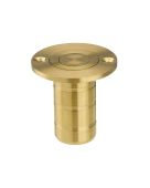 ZAS14A-PVDSB - Zoo Hardware Dust Socket for Flush Bolts &lpar;Wood&rpar; 20mm dia&period; x 38mm PVD Satin Brass