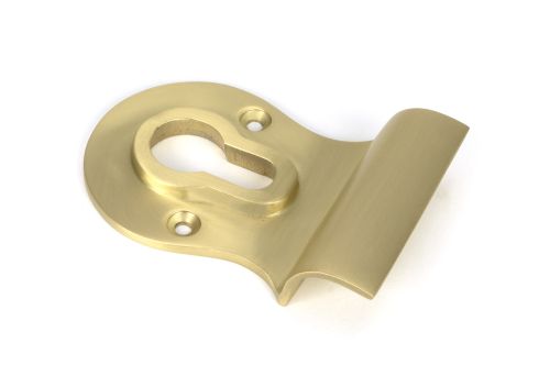 Click Here To Enlarge This Photo Of 50898 From the Anvil Satin Brass Euro Door Pull