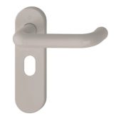 K138&sol;353K &lpar;AR600&sol;24&rpar; Hoppe Arrone Oval Profile Levers 48&period;5mm Centres on Radius Plate - &lpar;Nylon&rpar; Dove Grey - 8566577