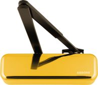 AR6900-D-PB Hoppe Arrone Size 2-4 Overhead Door Closer - Polished Brass with Black arm &lpar;87105983&rpar;