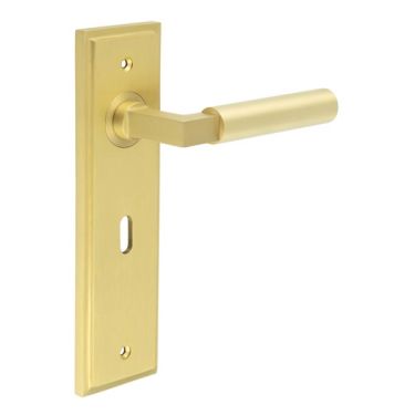 Click Here To Enlarge This Photo Of BUR30KIT243 Frelan Hardware Burlington Westminster Door Handles on 57mm Lock Backplate Satin Brass