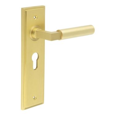 Click Here To Enlarge This Photo Of BUR30KIT245 Frelan Hardware Burlington Westminster Door Handles on 47&period;5mm Euro Backplate Satin Brass