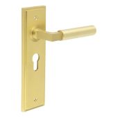 BUR30KIT245 Frelan Hardware Burlington Westminster Door Handles on 47&period;5mm Euro Backplate Satin Brass