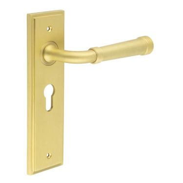 Click Here To Enlarge This Photo Of BUR35KIT245 Frelan Hardware Burlington Highgate Door Handles on 47&period;5mm Euro Backplate Satin Brass