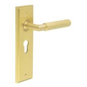 BUR40KIT245 Frelan Hardware Burlington Piccadilly Door Handles on 47&period;5mm Euro Backplate Satin Brass