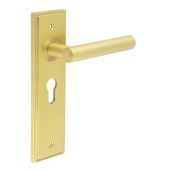 BUR45KIT245 Frelan Hardware Burlington Richmond Door Handles on 47&period;5mm Euro Backplate Satin Brass