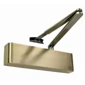 TS&period;5204BC&period;SRFB&period;ABAB - Rutland Size 2-4 Overhead Door Closer with Backcheck - Antique Brass