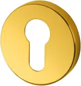AR461&sol;27 Hoppe Euro Profile Escutcheon - PVD Brass &lpar;87108565&rpar;