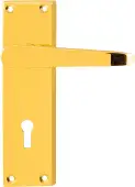 AR5000&sol;12 Hoppe Victorian Straight Standard Key Lock Levers on Plate - Polished Brass &lpar;87115916&rpar;