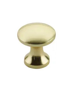 TDFK24-PG - Zoo Hardware Round Cabinet knob 24mm Dia&period; Polished Gold Finish