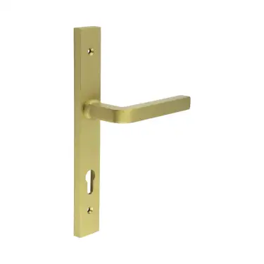 Click Here To Enlarge This Photo Of CR-104G4SB Frelan Hardware CRES 92mm Multi Point Backplate Door Handle &lpar;215mm c&sol;c&rpar; Satin Brass &lpar;SS316&rpar;
