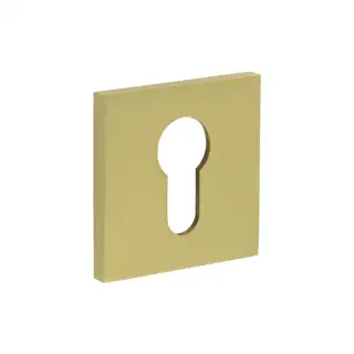 CR-U10SB Frelan Hardware CRES Euro Keyway &lpar;Square Rose&rpar; Escutcheon Satin Brass &lpar;SS316&rpar;