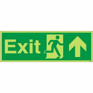 Click Here To Enlarge This Photo Of Photoluminescent &lpar;Glow in the Dark&rpar; Rigid Plastic &lpar;Class C&rpar; Exit Arrow Up Sign