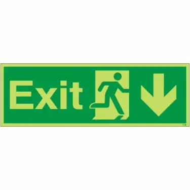 Click Here To Enlarge This Photo Of Photoluminescent &lpar;Glow in the Dark&rpar; Rigid Plastic &lpar;Class C&rpar; Exit Arrow Down Sign